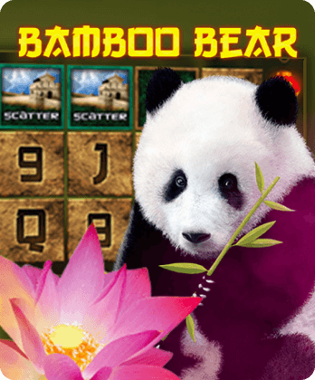 Bamboo Bear